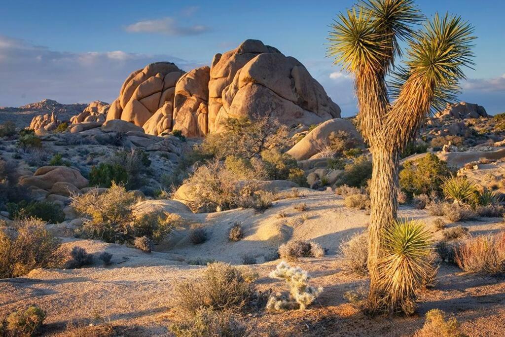 Butterfly House: A Tranquil Haven In Joshua Tree 빌라 외부 사진