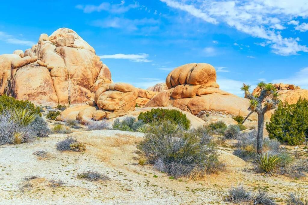 Butterfly House: A Tranquil Haven In Joshua Tree 빌라 외부 사진